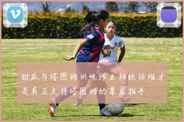 甜瓜与塔图姆训练师互相较劲谁才是真正支持塔图姆的幕后推手